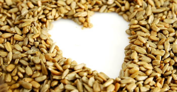 5 Things Every Bird Lover Should Know About Hull Less Sunflower Seeds Lyric Wild Bird Food