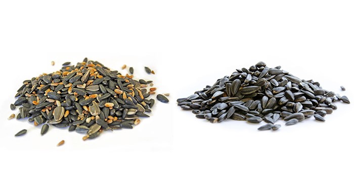 Bird Feeding 101 Mixed Seed Vs Straight Seed Lyric Wild Bird Food