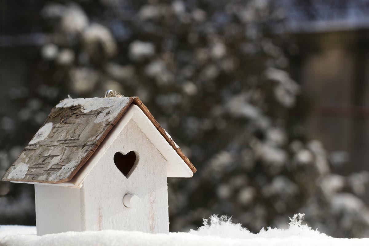 Cute birdhouse in the snow