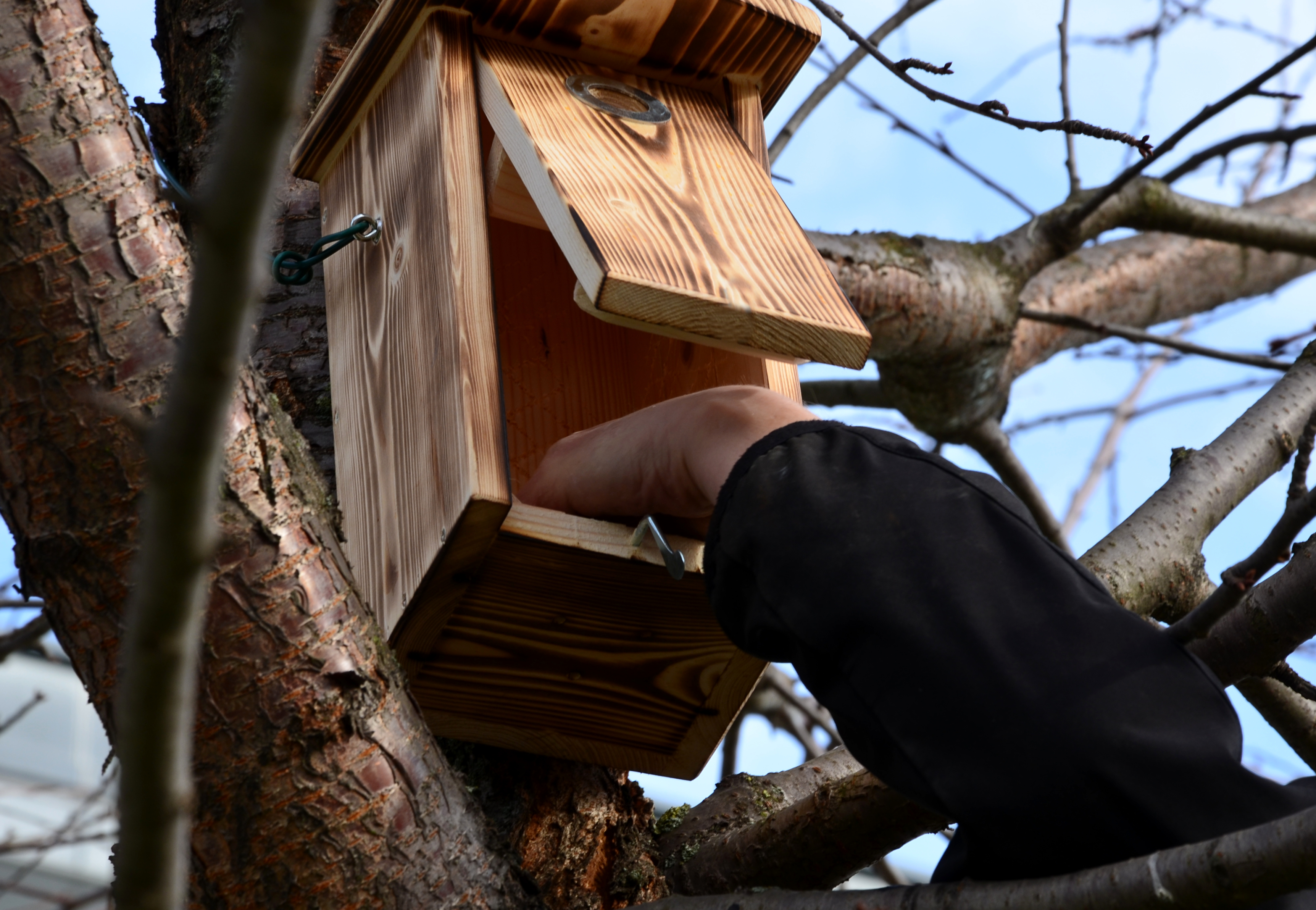 Cleaning nest box