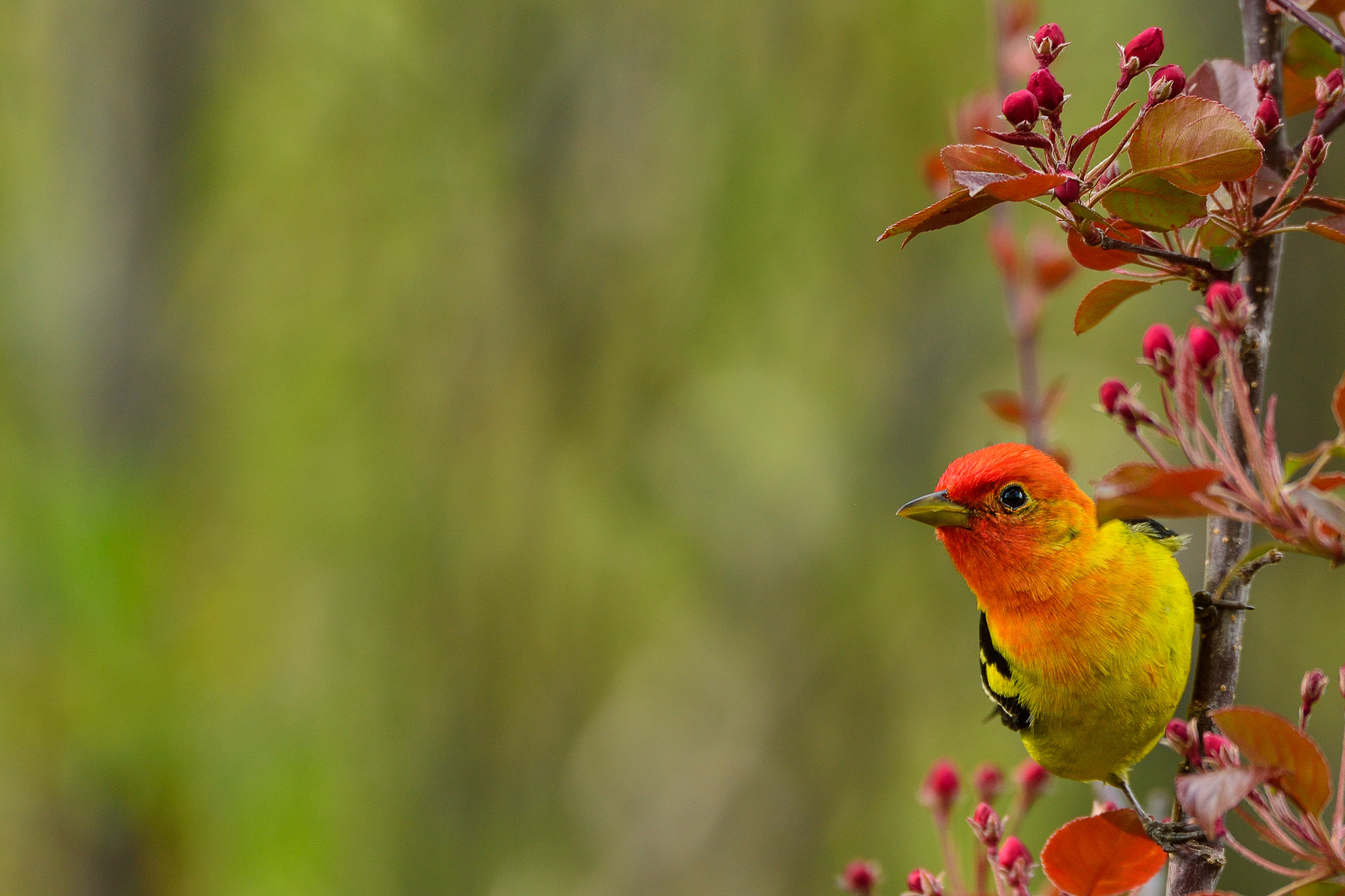 ITeachPhoto / iStock / via Getty Images