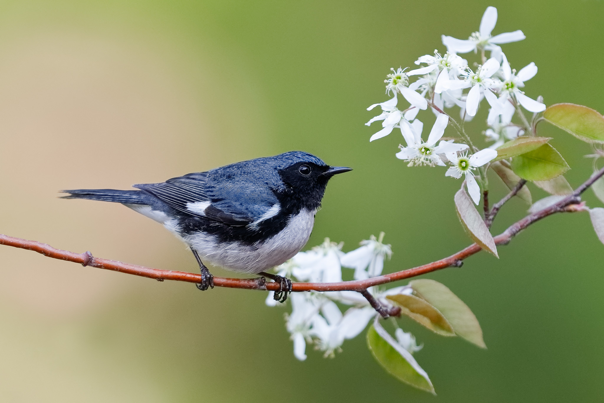 BrianLasenby / iStock / via Getty Images