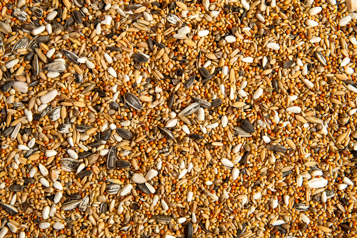 Bird seed deals